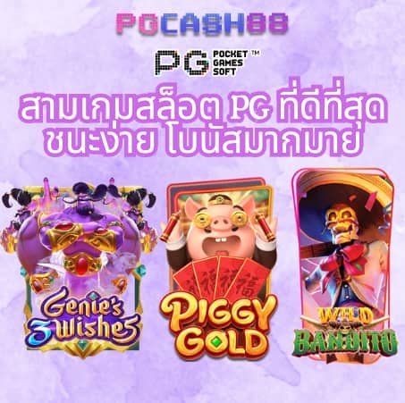 เว็บใหม่มาแรง